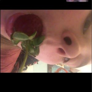 Meet your Posher, Nima